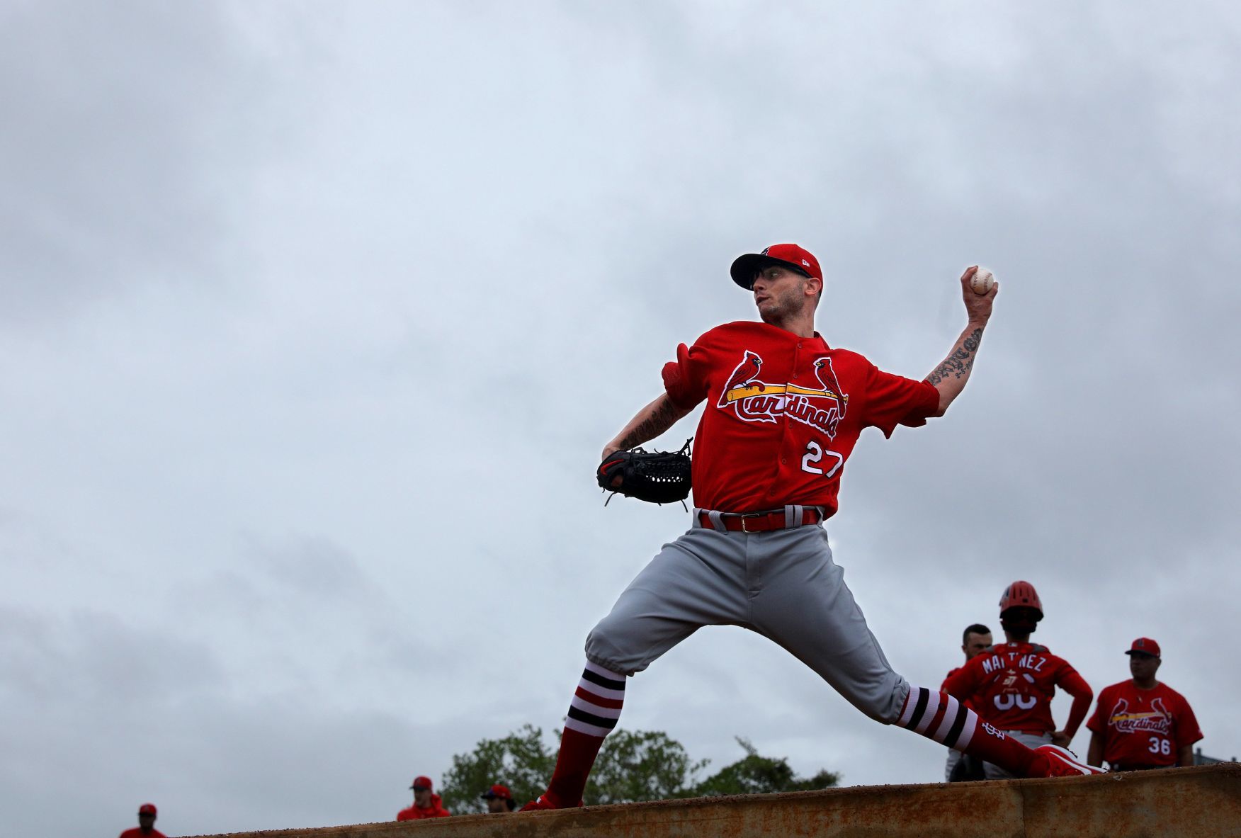 Cardinals spring training
